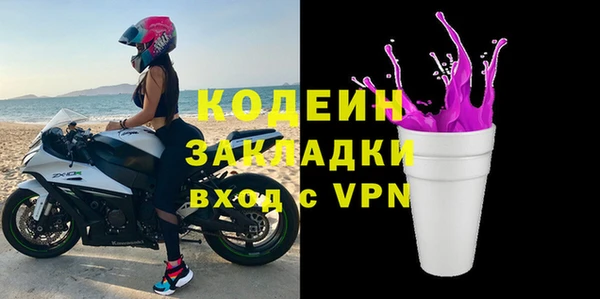 индика Горнозаводск