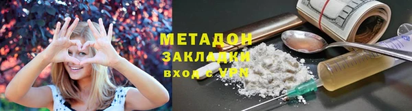 индика Горнозаводск