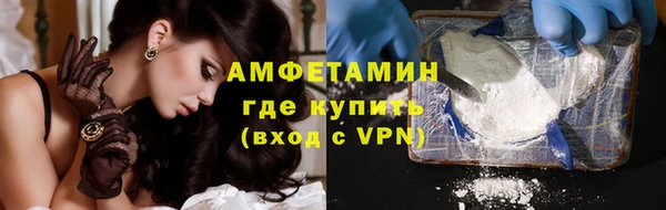 индика Горнозаводск