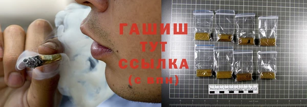 индика Горнозаводск