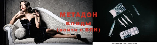 индика Горнозаводск