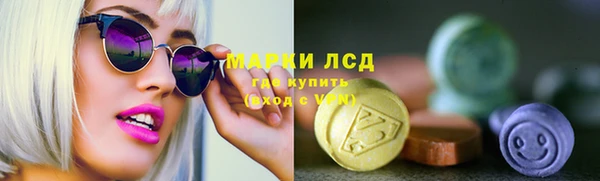 индика Горнозаводск