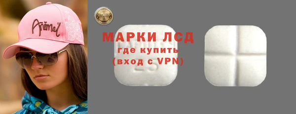 индика Горнозаводск