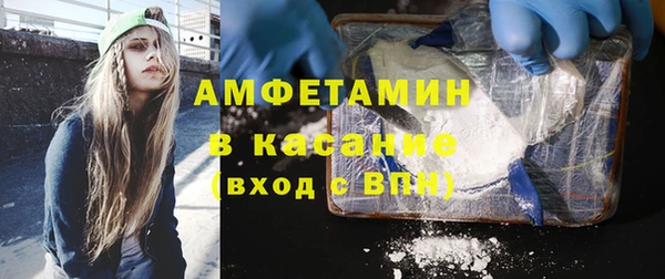 индика Горнозаводск