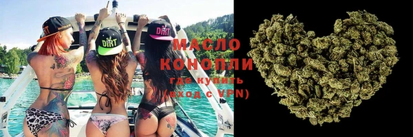 индика Горнозаводск
