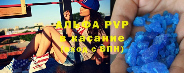 индика Горнозаводск