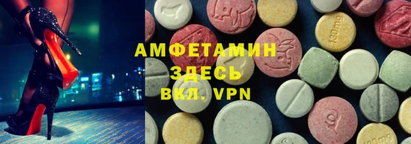 индика Горнозаводск
